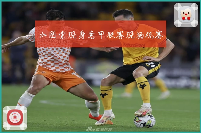 加图索现身意甲联赛现场观赛