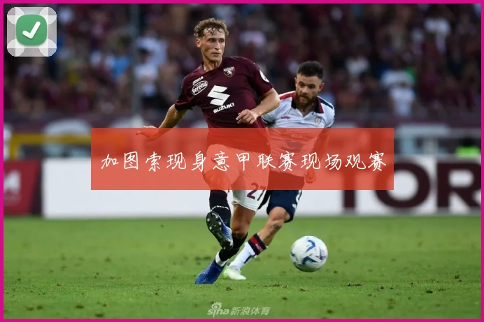 加图索现身意甲联赛现场观赛